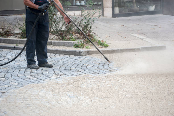 Best Fence Cleaning  in Geistown, PA